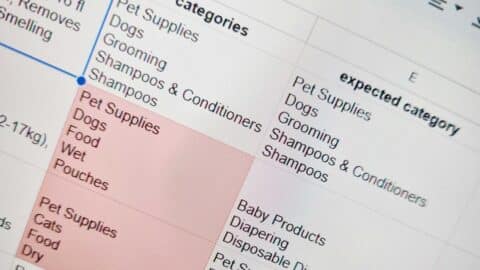 spot wrong-category listings on Amazon